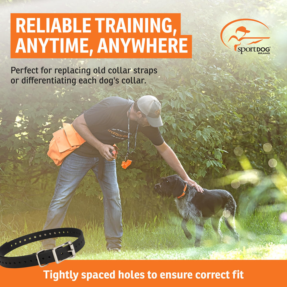 SportDOG waterproof collar strap withstands rain and mud.