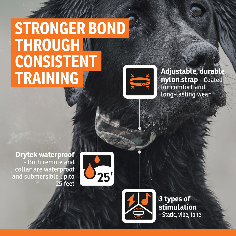 SportDOG WetlandHunter 425X 500-yard range for field cues.