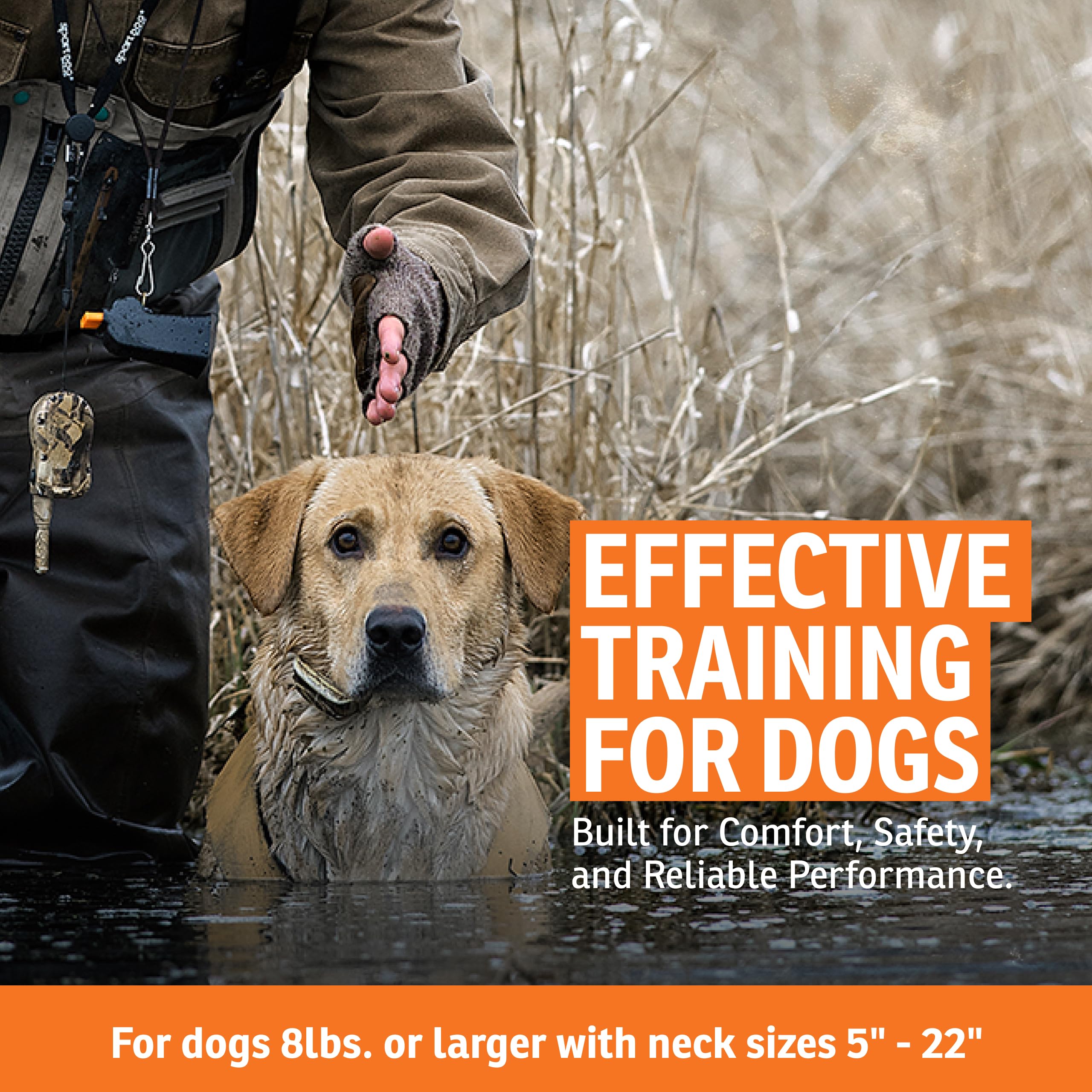 SportDOG WetlandHunter 425X collar with adjustable fit for dogs.
