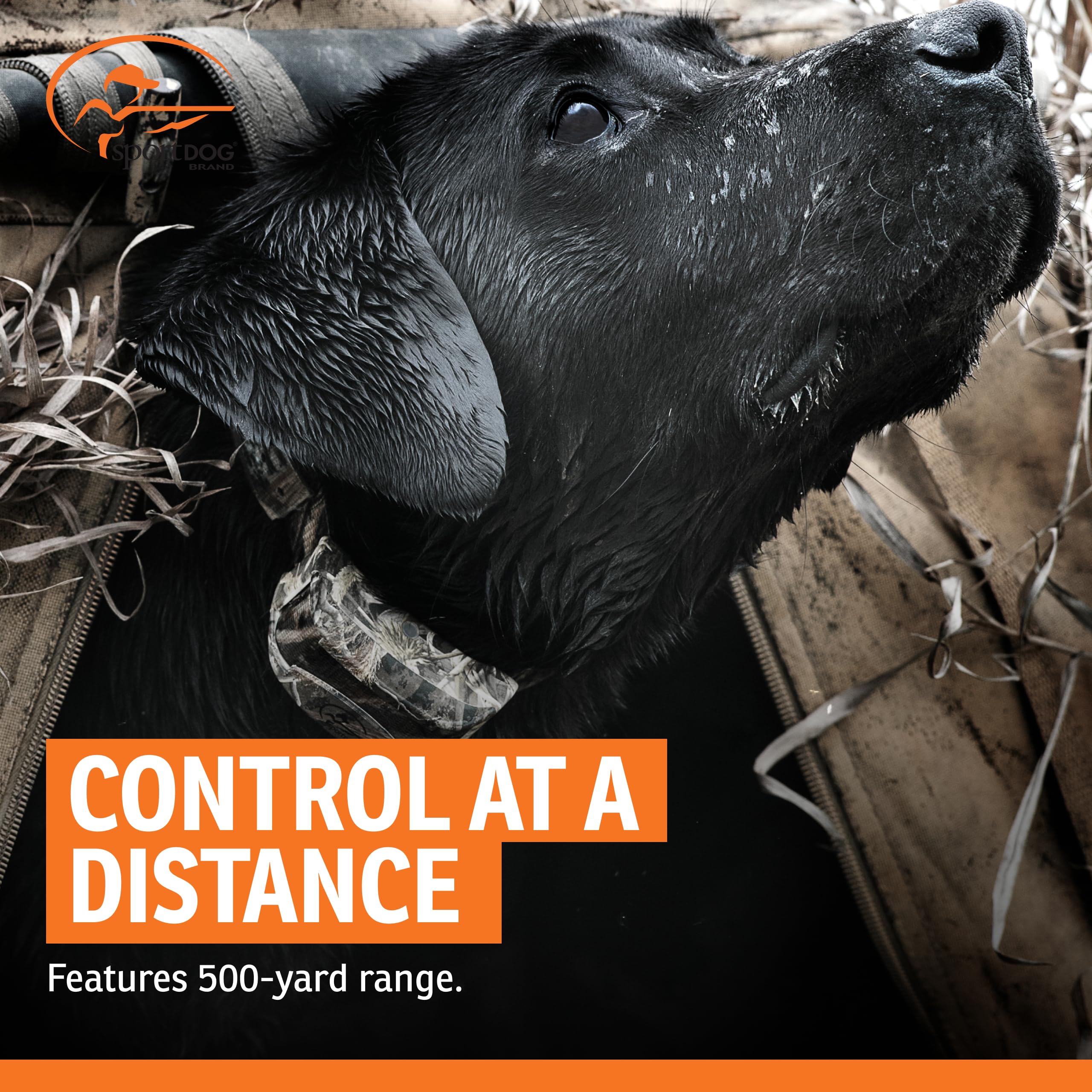 SportDOG WetlandHunter 425X multi-dog system simplifies training.