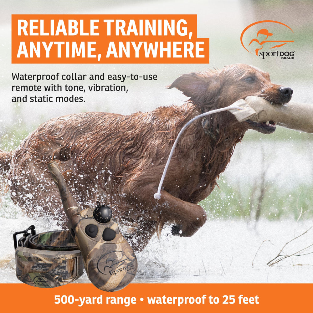 SportDOG WetlandHunter 425X waterproof DryTek keeps sessions in rain.