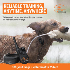Closeup of the SportDOG YardTrainer 100S collar on a dog.