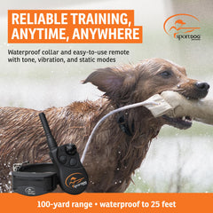 SportDOG YardTrainer 100 remote handheld showing quick training sessions