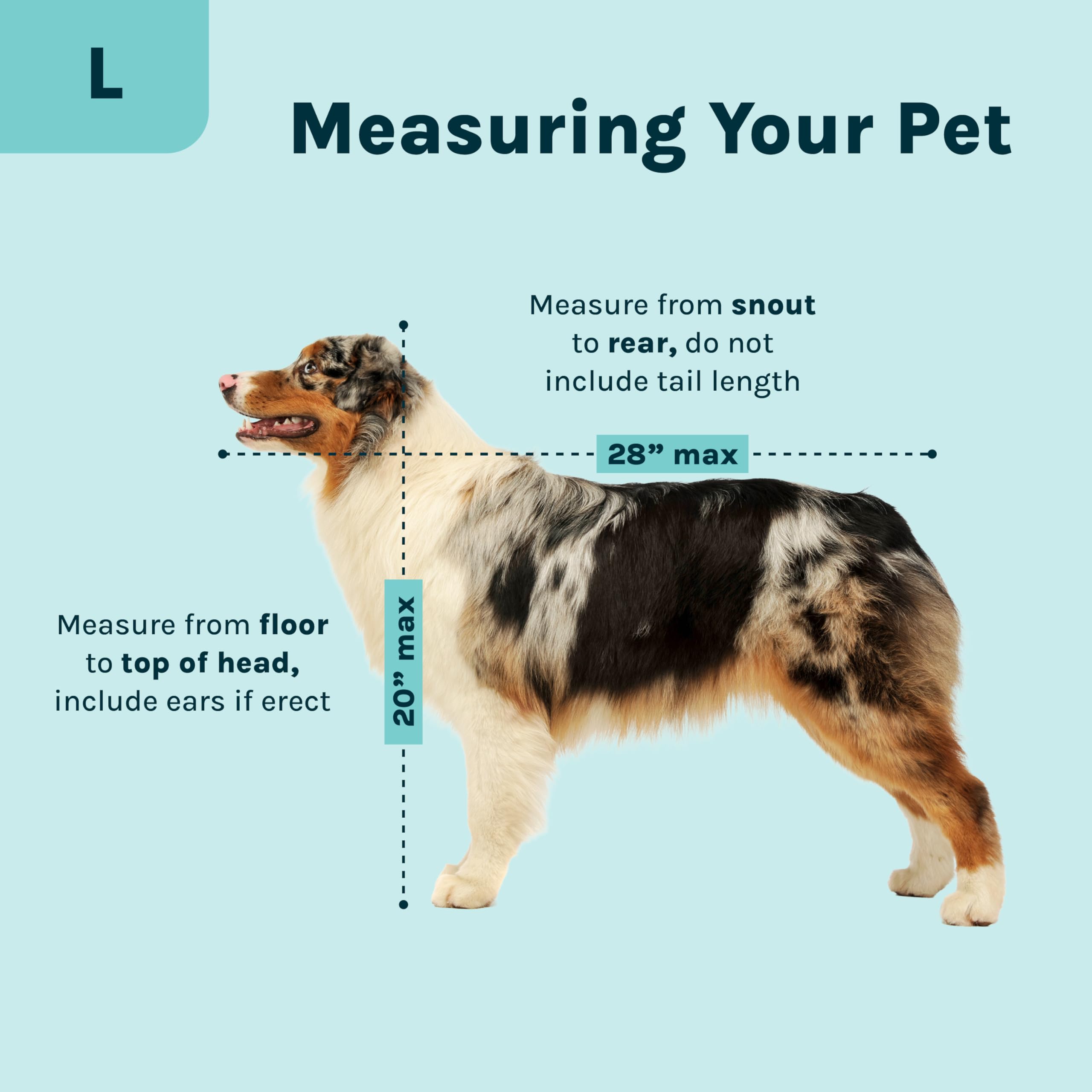 IATA-compliant SportPet kennel ready for airline travel