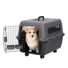 SportPet airline-compliant-travel-kennel provides safe travel for pets during flights.