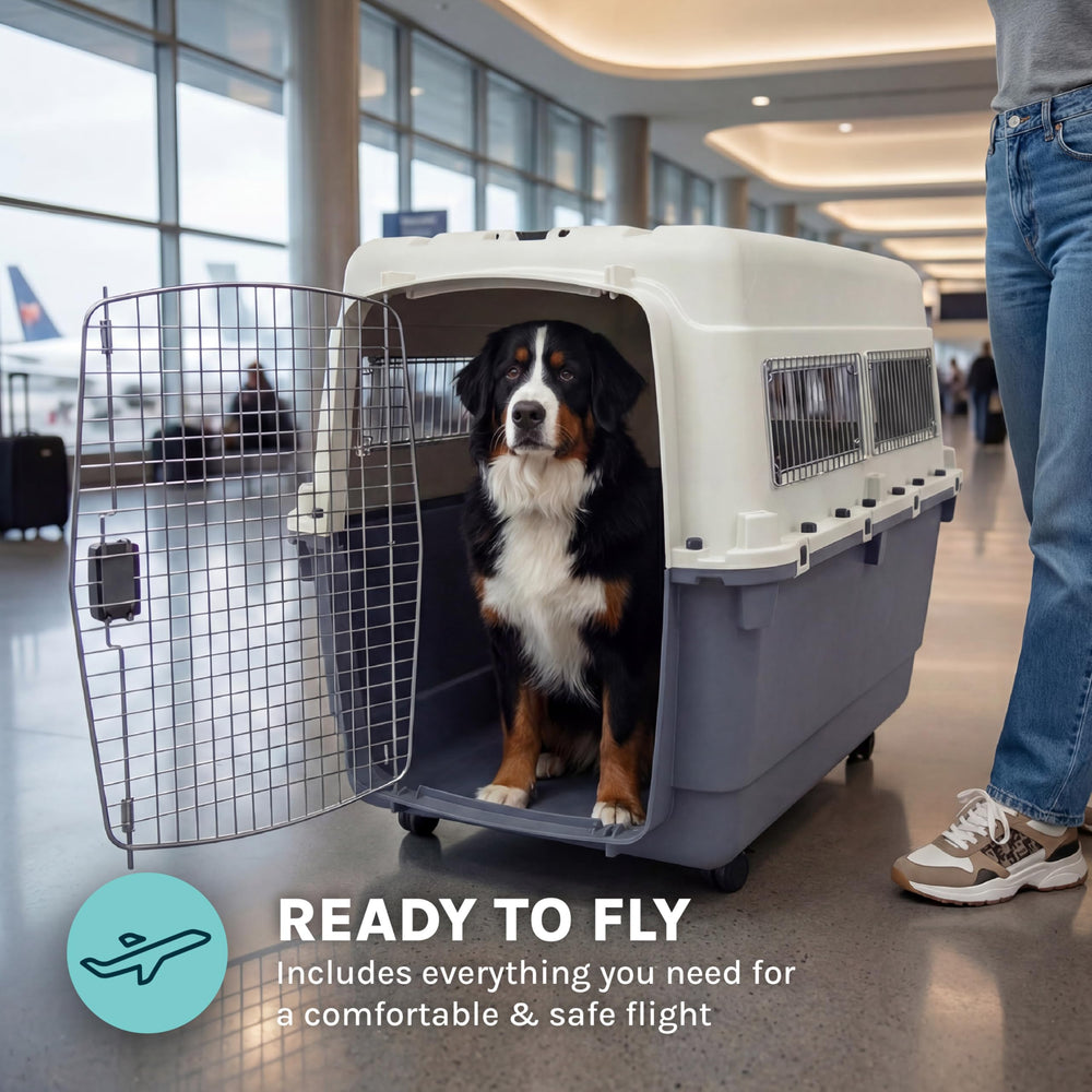 SportPet Designs interior with two bowls ready for travel or home use