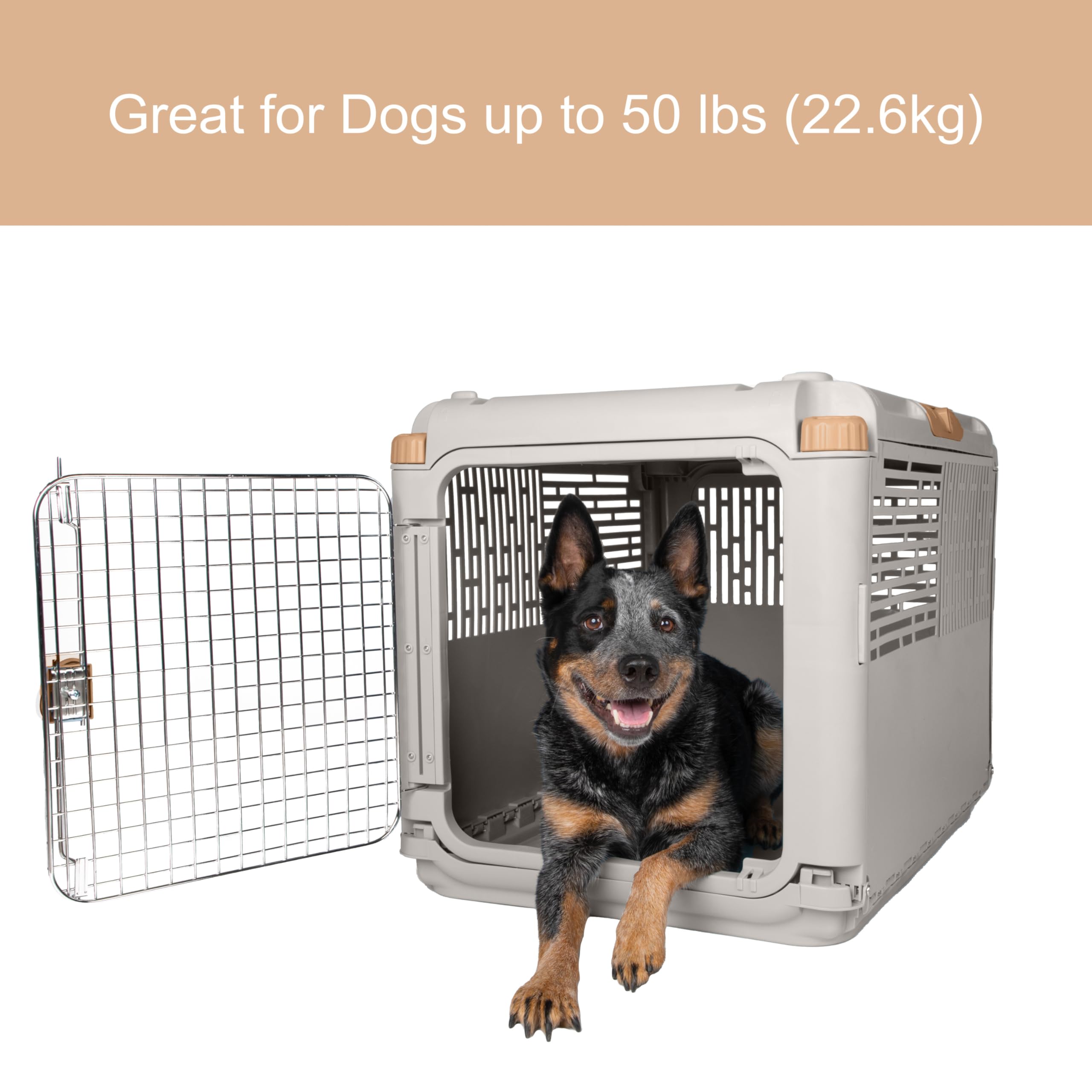 SportPet Designs side ventilation slots providing airflow and visibility.