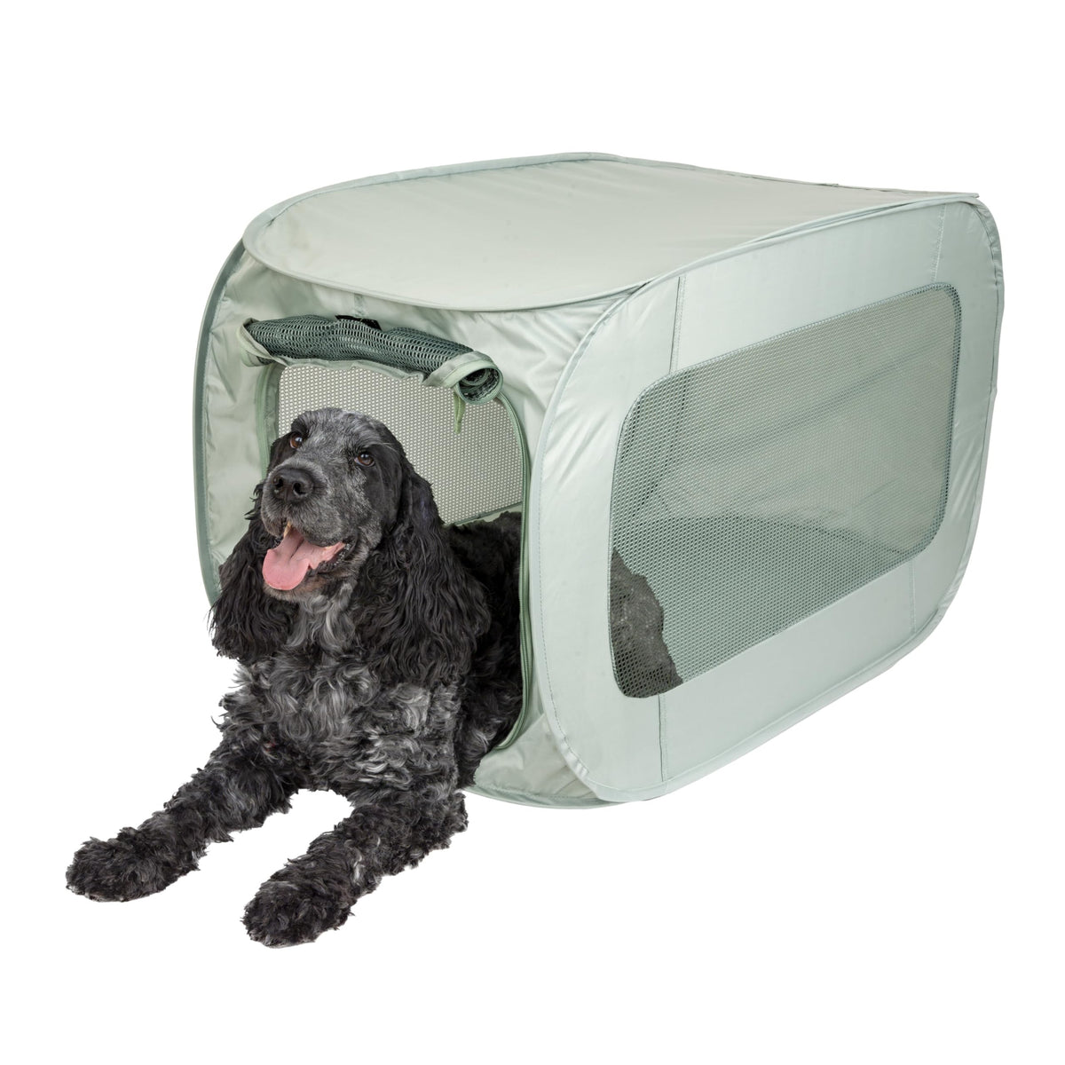 SportPet Designs soft-sided kennel with front zip door offers easy entry and security.
