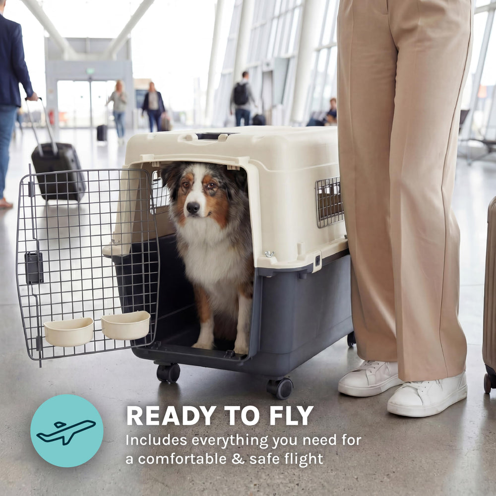 SportPet collapsible travels for compact storage between trips