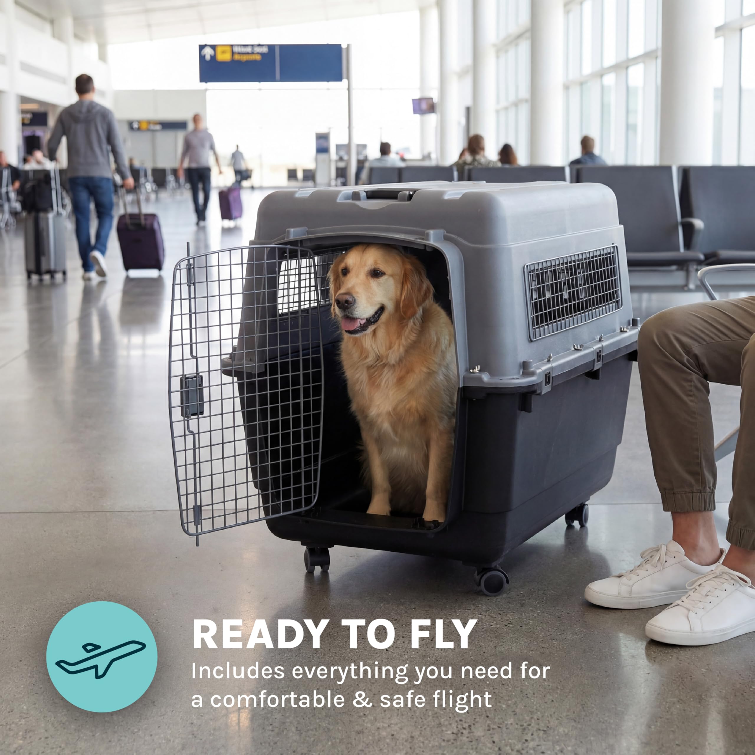 SportPet interior dimensions reveal spacious area for a large dog