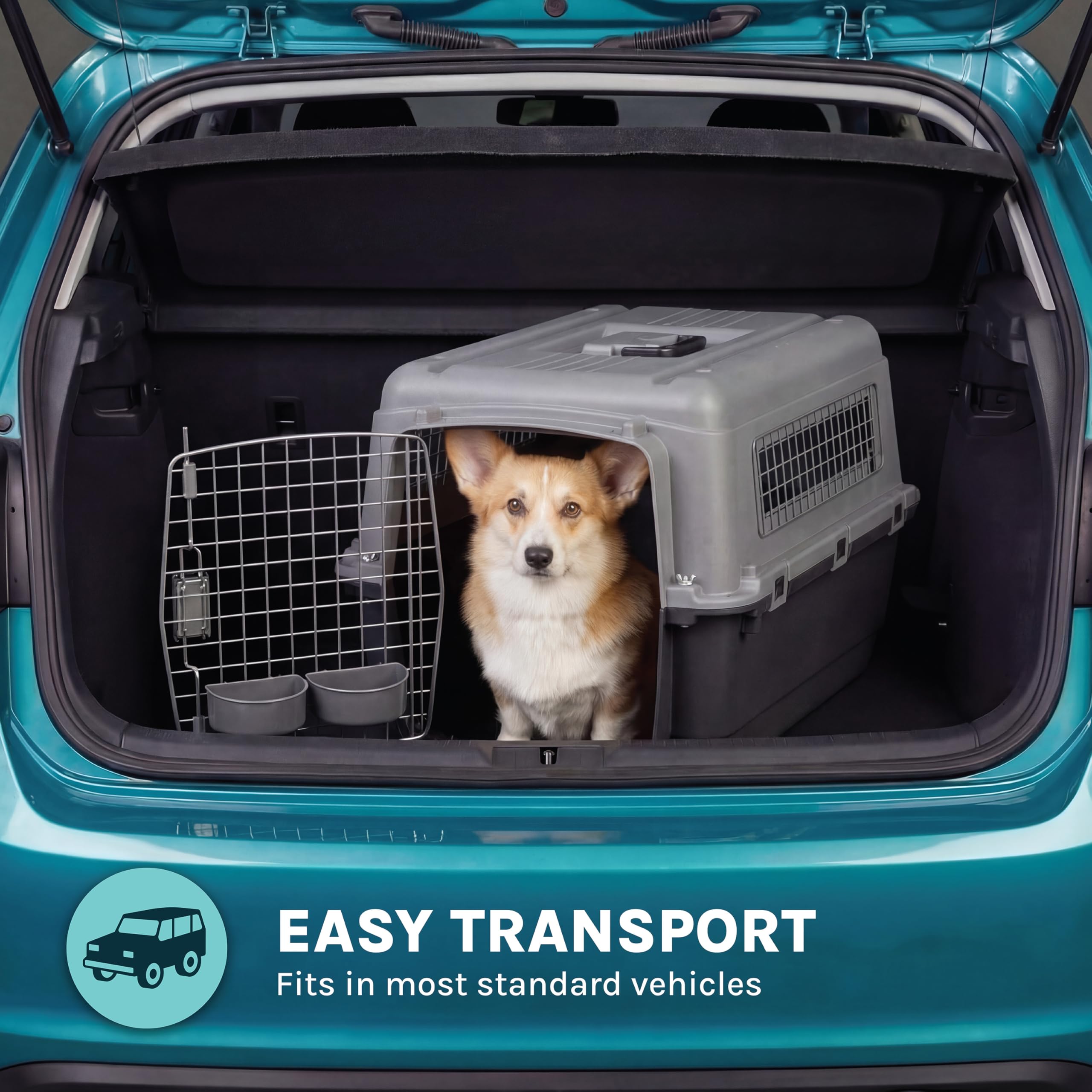 SportPet live-animal-labels-included improve handling and safety awareness.