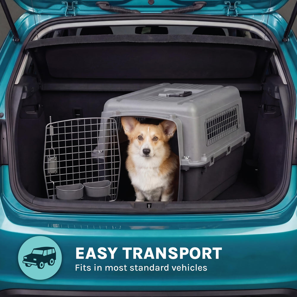 SportPet live-animal-labels-included improve handling and safety awareness.