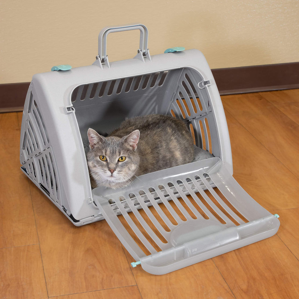 SportPet Travel Master ready for car travel and road trips
