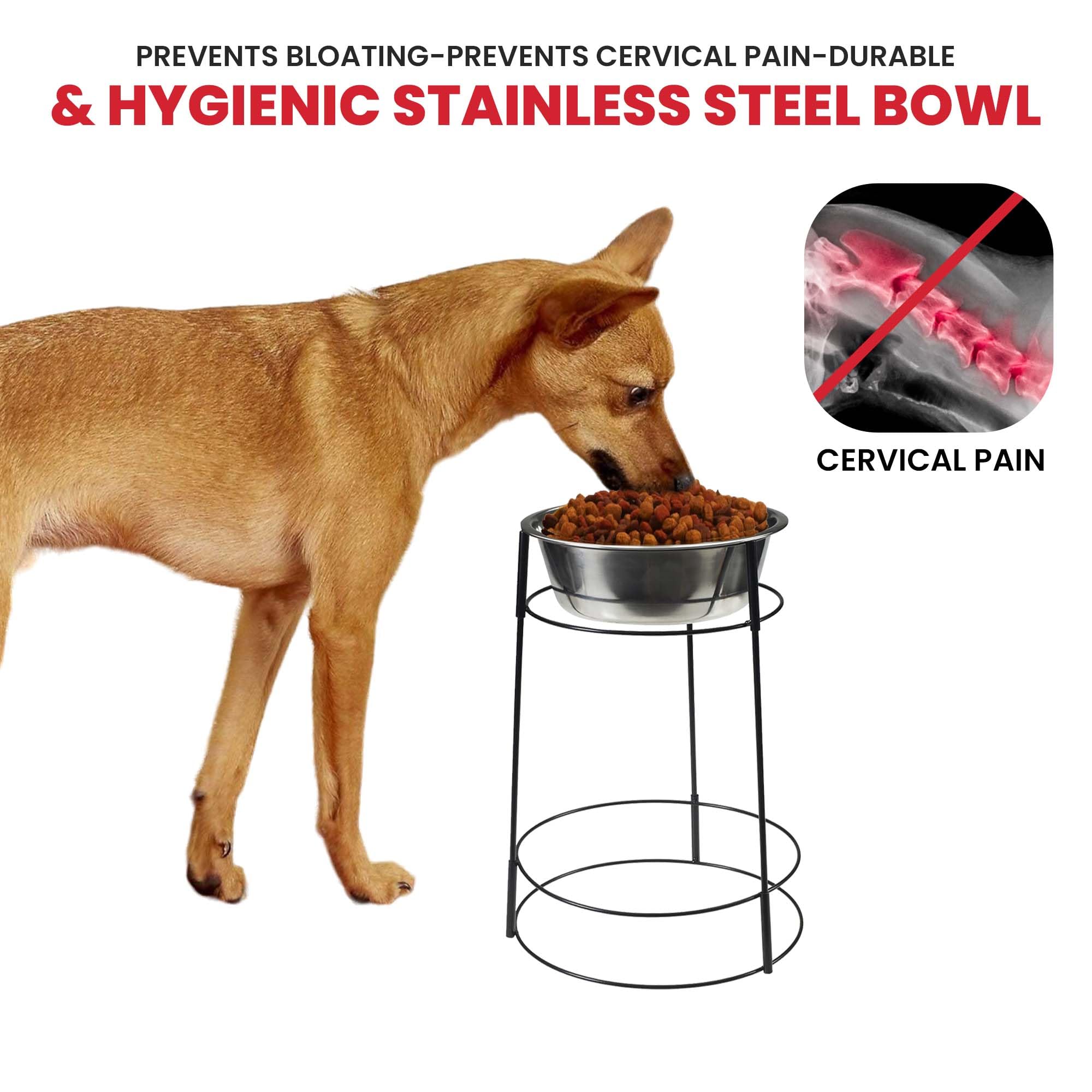 SPOT Hi Rise elevated feeder setup in a cozy home dining corner.