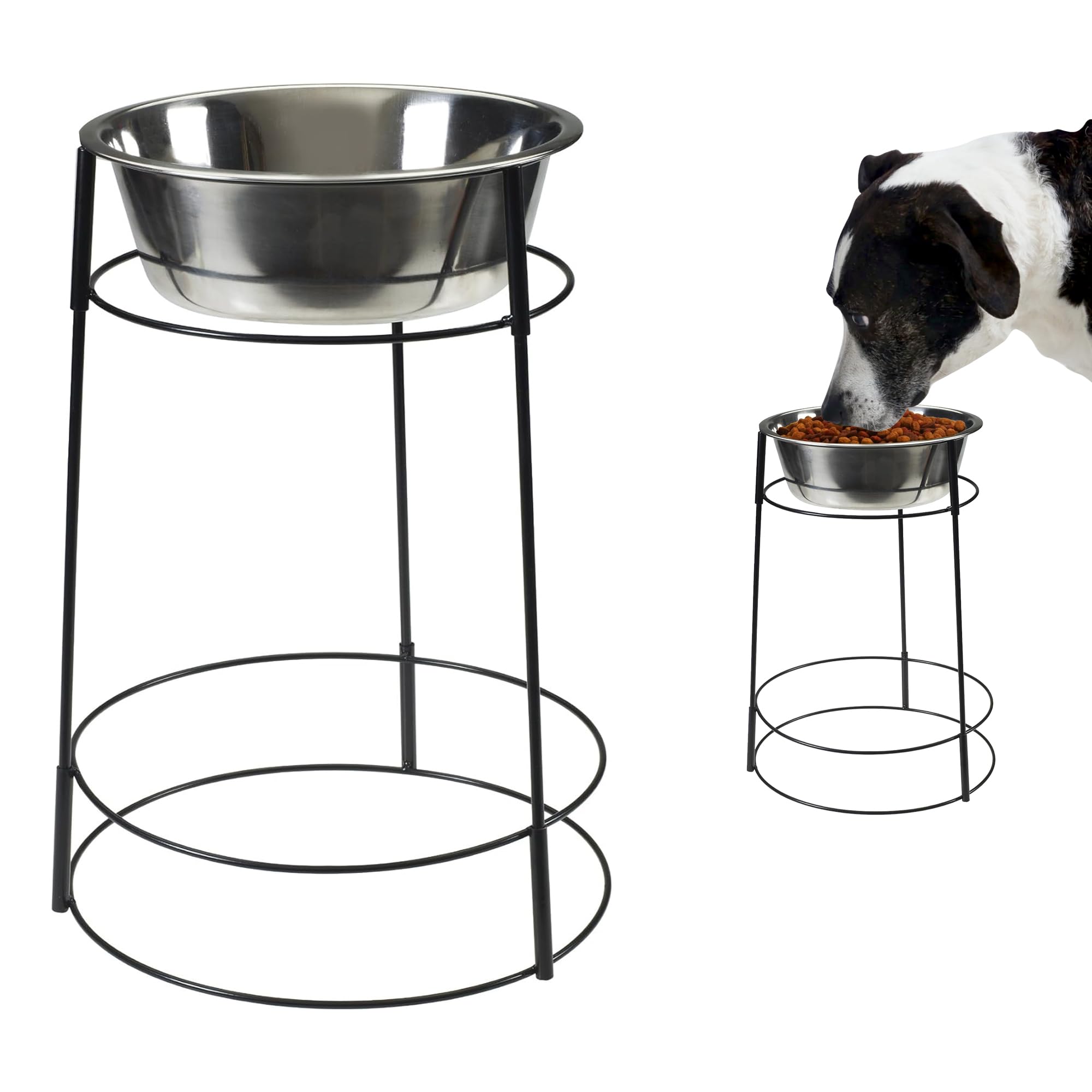 SPOT Hi Rise wire stand elevating meals for comfortable feeding.