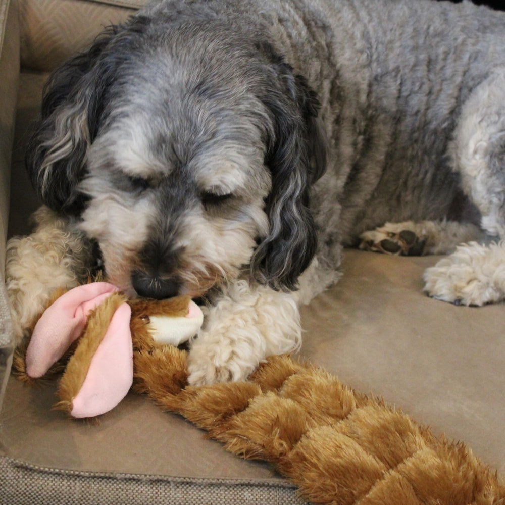 SPOT Skinneeez rabbit toy 20 inches for medium to large dogs