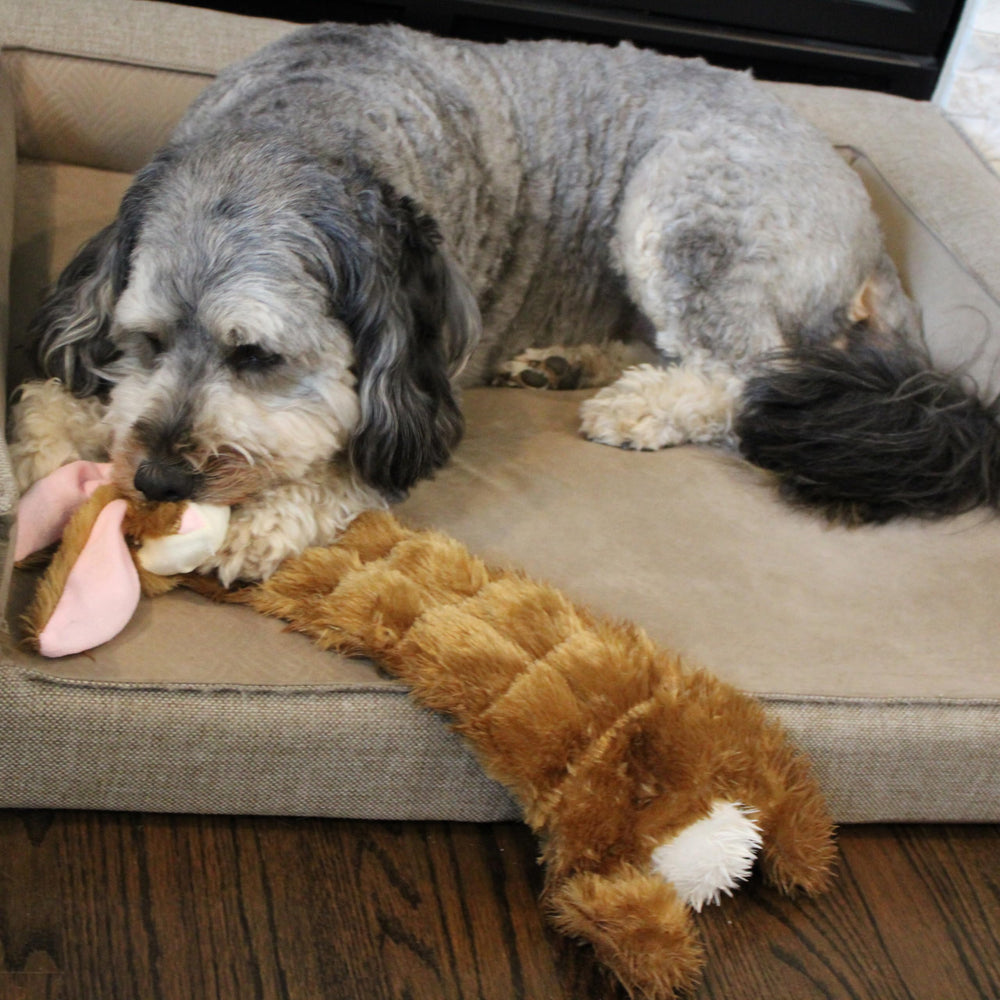 SPOT Skinneeez rabbit toy with color variety and styles
