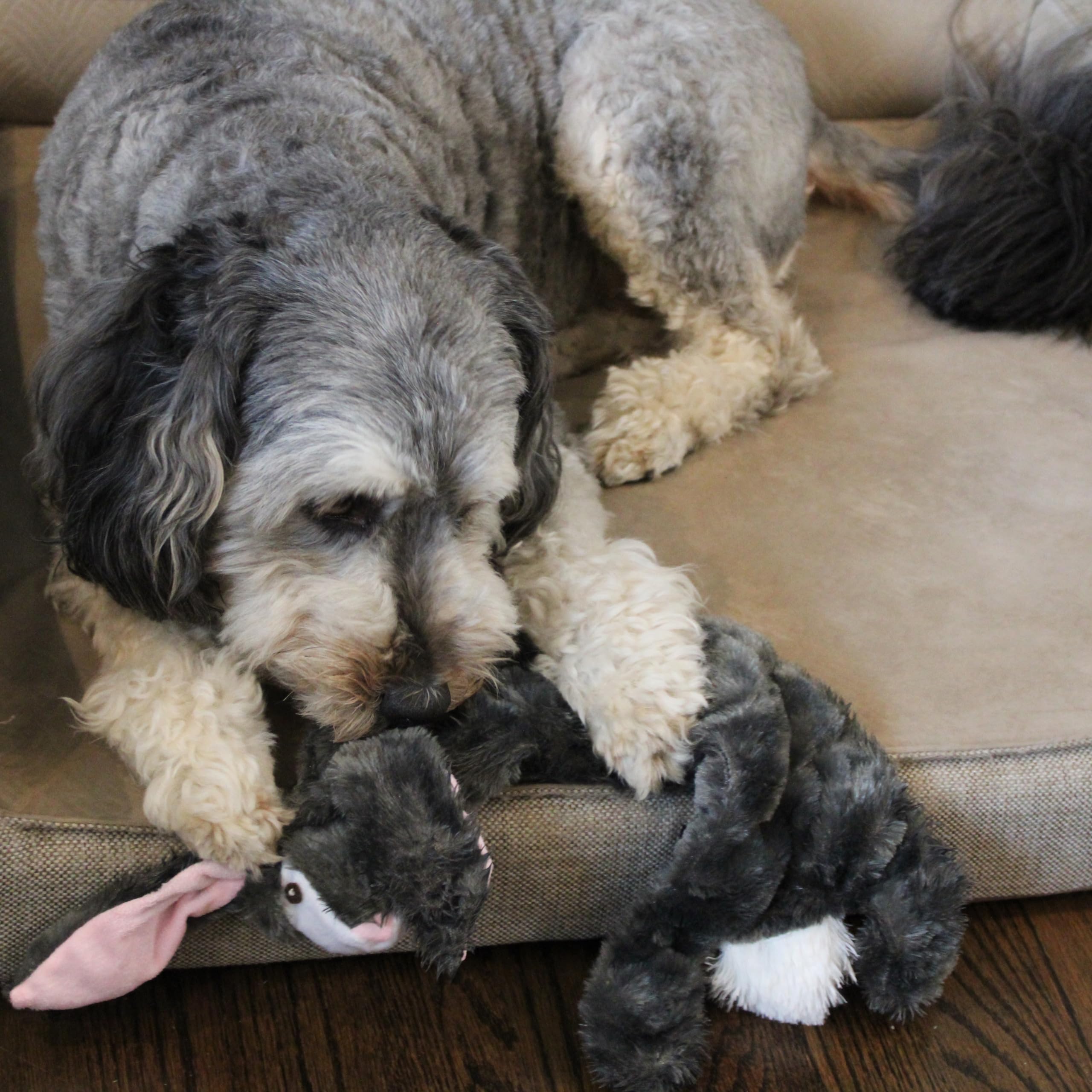 SPOT Skinneeez rabbit toy soft body for mess-free play