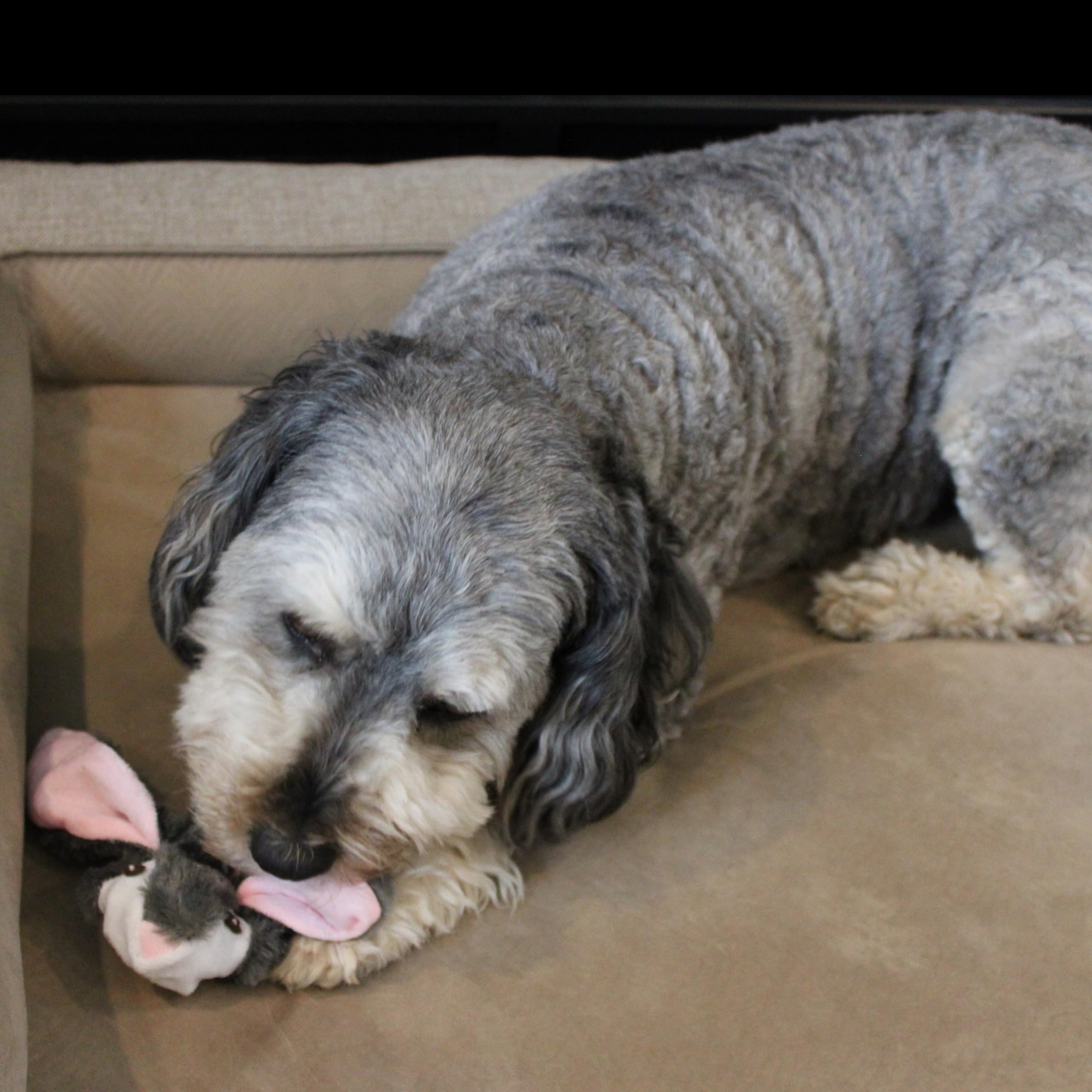 SPOT Skinneeez rabbit toy shows 19 squeakers for lively sound