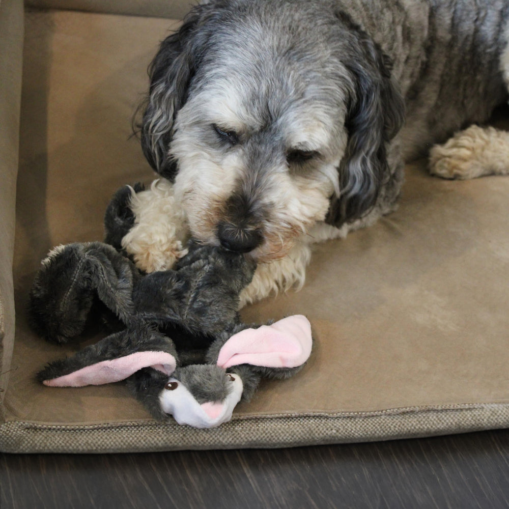 SPOT Skinneeez rabbit toy for tug games and squeaks