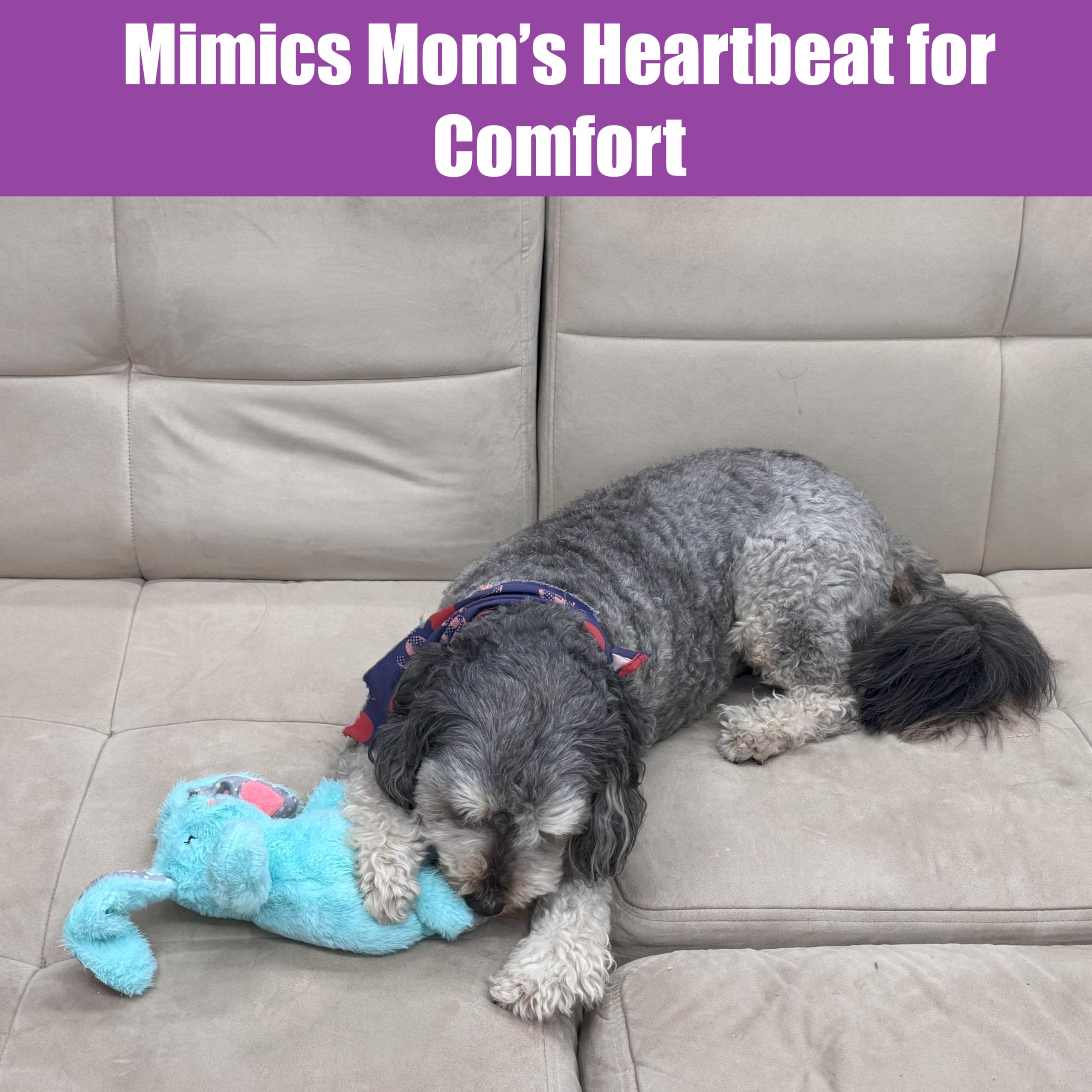 SPOT Soothers Heartbeat Bunny available in assorted colors to match homes.