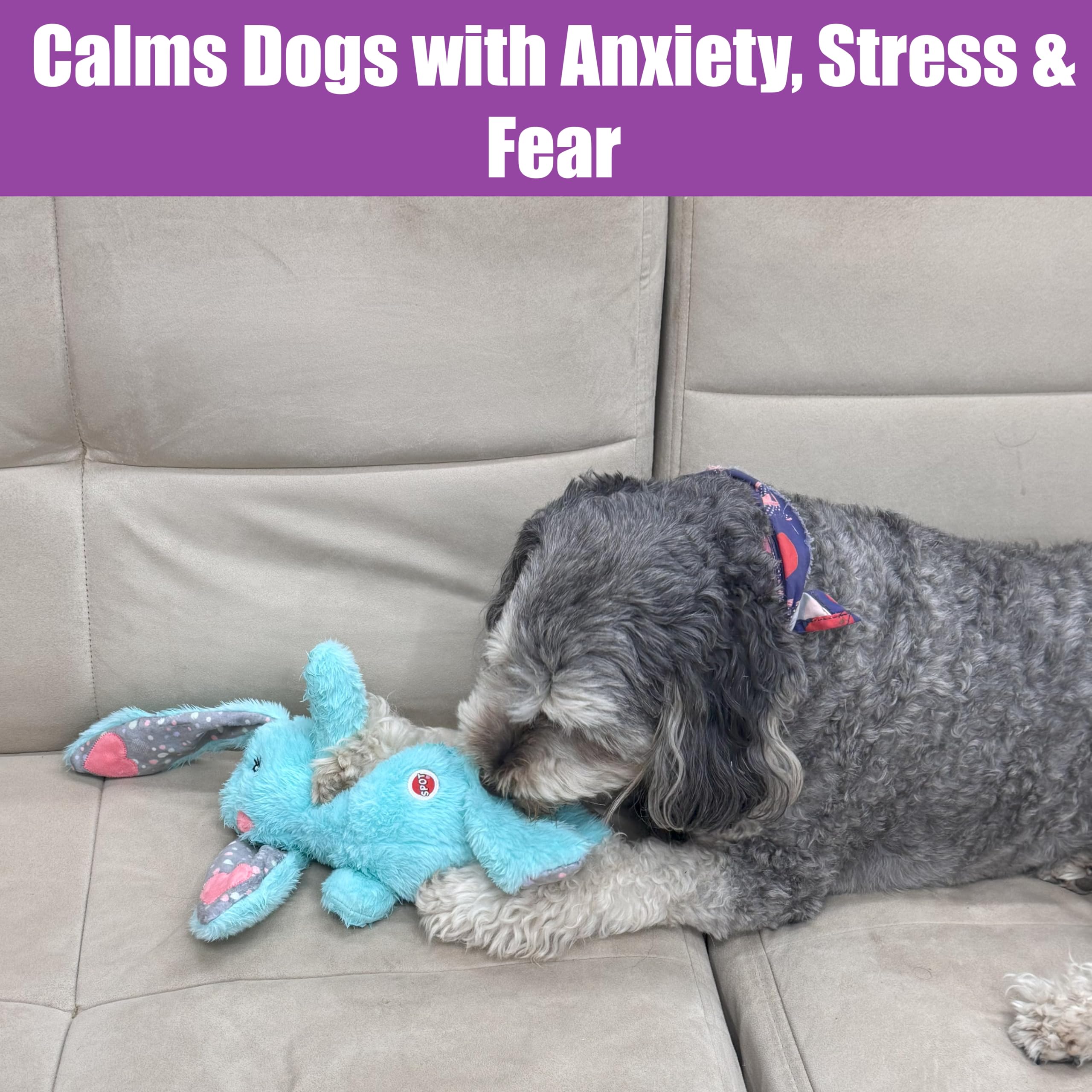 SPOT Soothers Heartbeat Bunny supports crate training and travel calm.