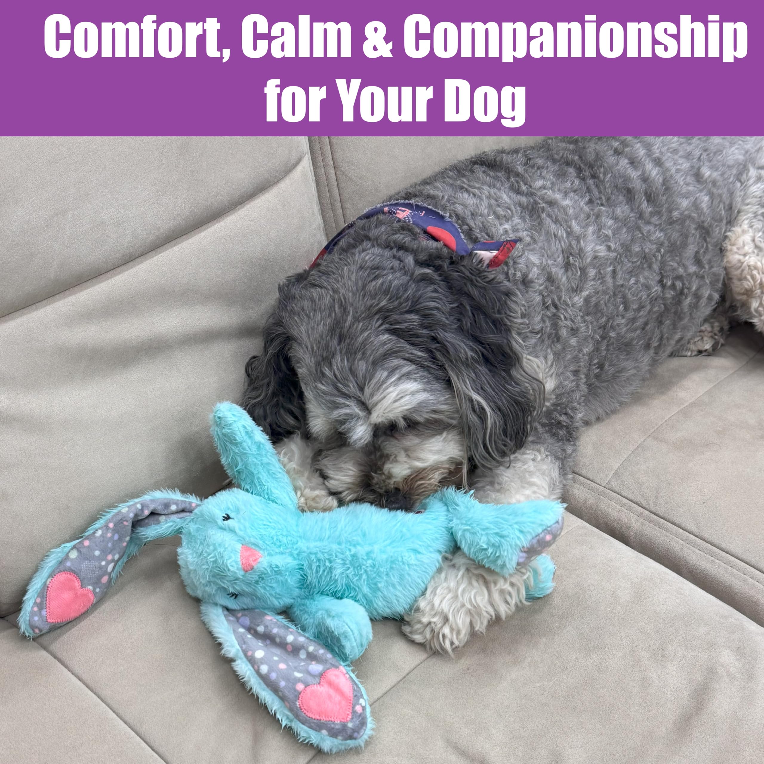 SPOT Soothers Heartbeat Bunny helps with separation anxiety relief.