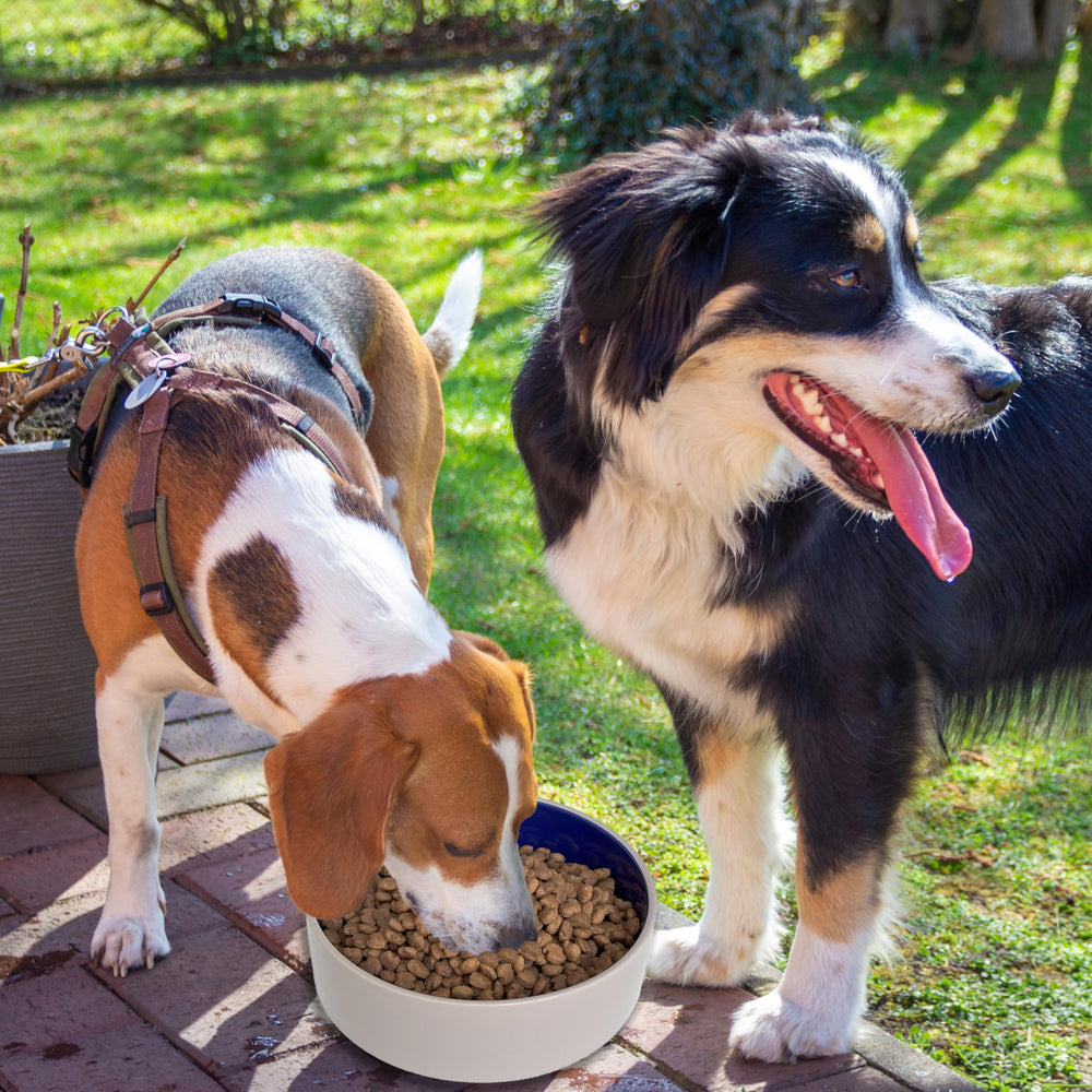 SPOT Standard Crock Dish 9.5-inch diameter holds up to 8 cups of food or water.