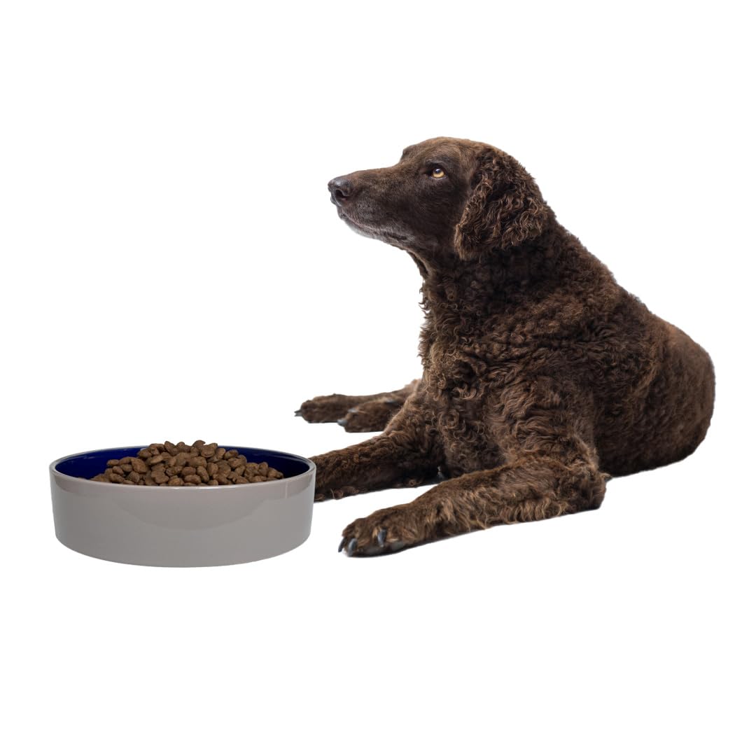 SPOT Standard Crock Dish ideal for large dogs or multi-pet households.