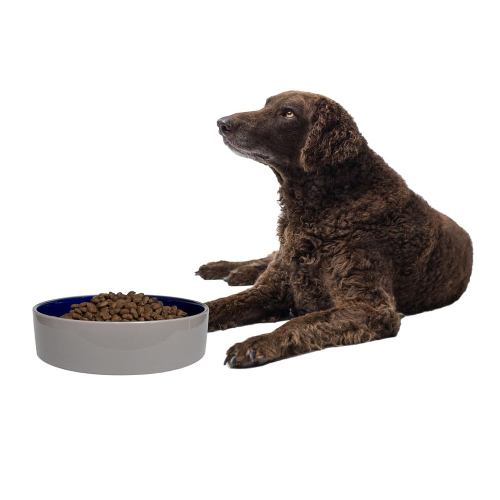 SPOT Standard Crock Dish ideal for large dogs or multi-pet households.