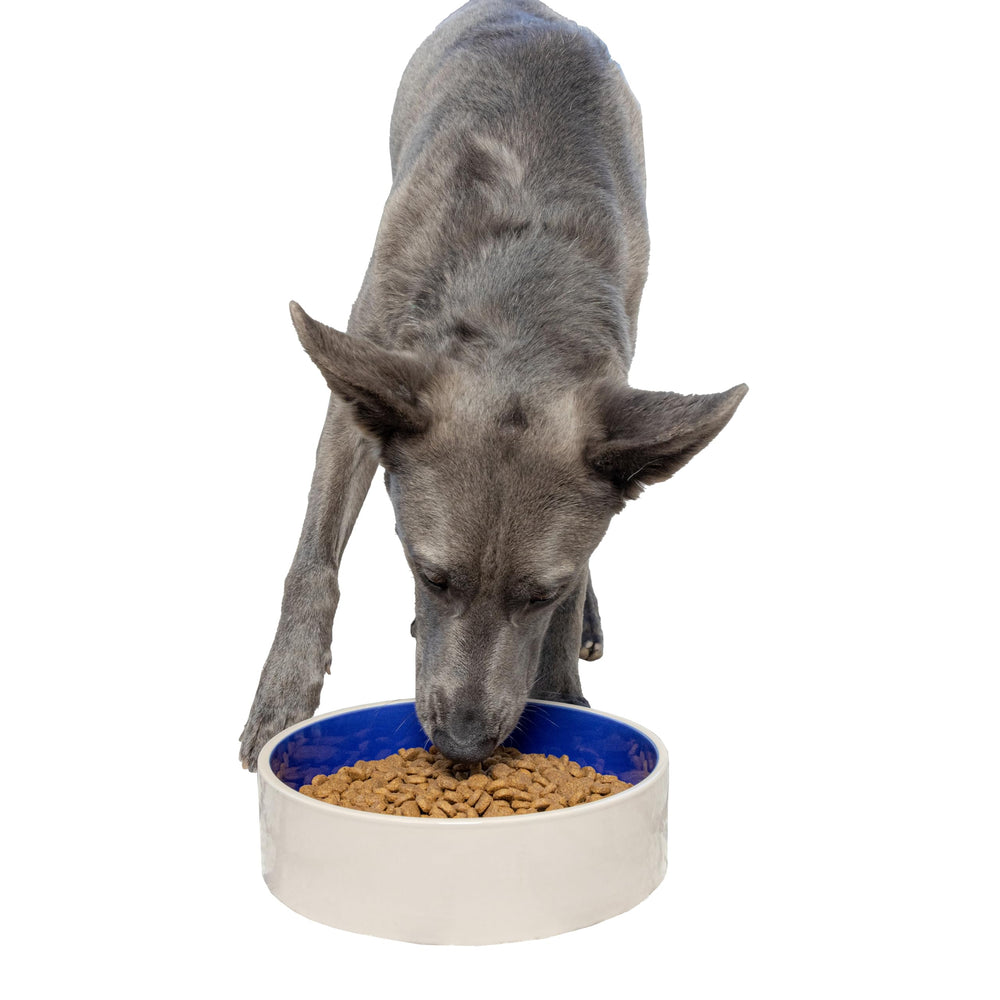 SPOT Standard Crock Dish top view highlights durable ceramic construction for long-lasting meals.