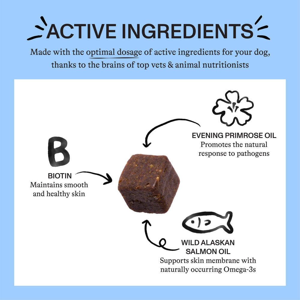 Spot & Tango Allergy + Immune bite sized chews are easy to offer during daily routines