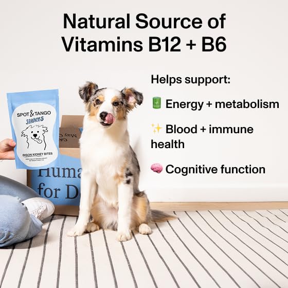 Spot & Tango Bison Kidney Bites include B12 and B6 for coat-friendly nutrition.