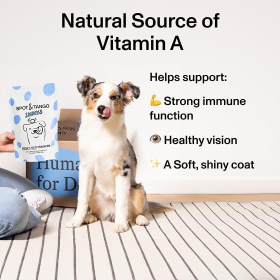 Spot & Tango Cheese Bites provide protein and calcium in a bite