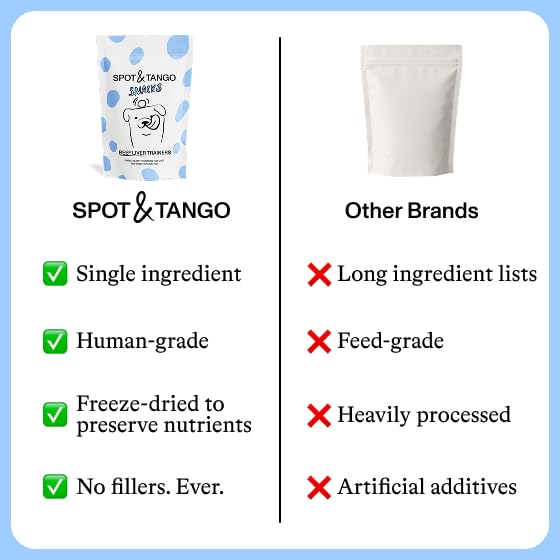 Spot & Tango Freeze-Dried Cheese Treats demonstrate light, crunchy texture