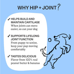 Spot & Tango glucosamine and chondroitin ingredients highlighted for joint support.