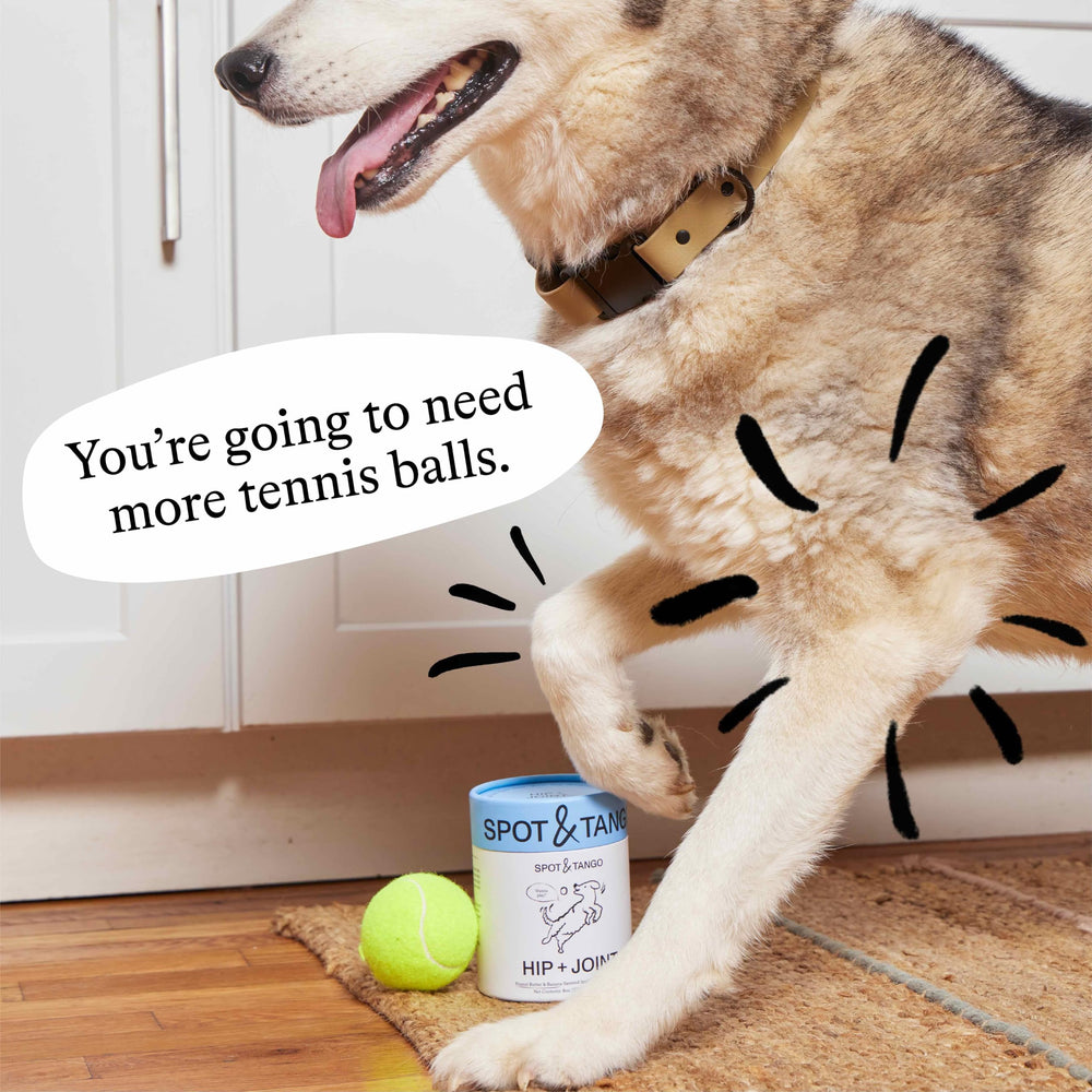 Spot & Tango no artificial ingredients label emphasizing clean formulation.