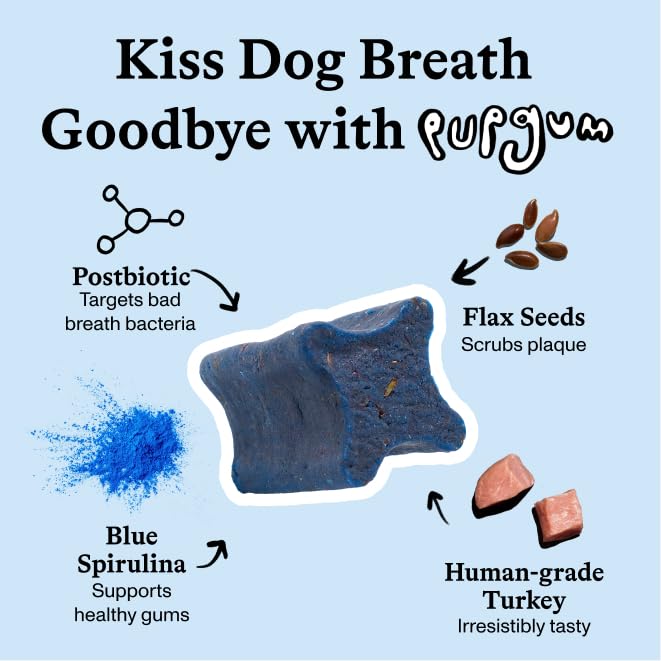 Spot & Tango PupGum chews close-up highlighting turkey flavor