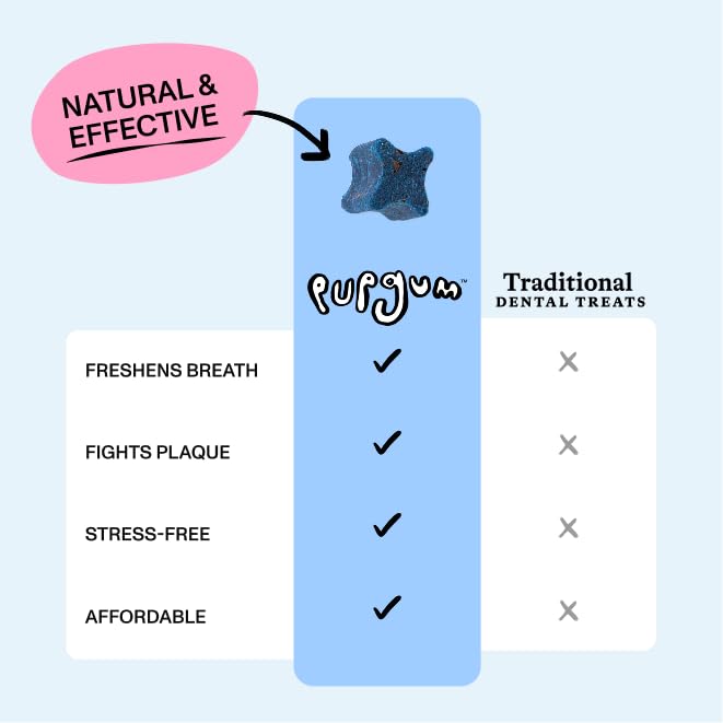 Spot & Tango PupGum dog enjoying chew during daily routine
