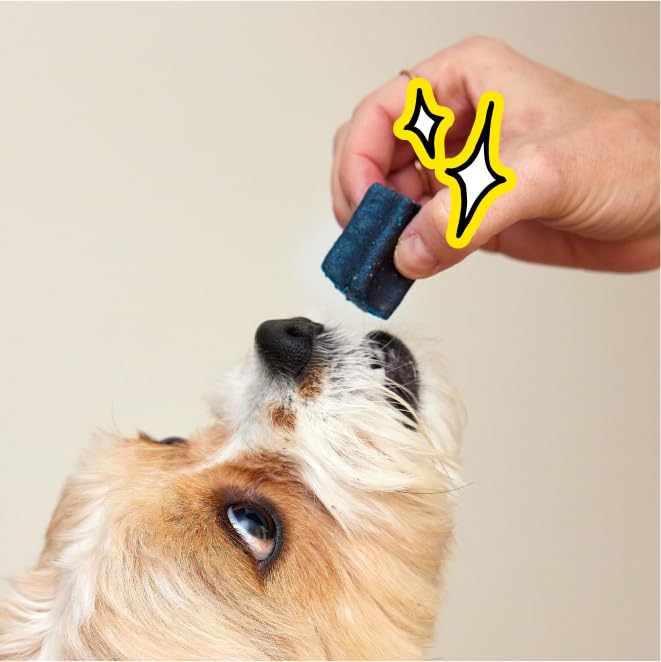 Spot & Tango PupGum bite-sized chews supporting plaque control and tartar reduction.
