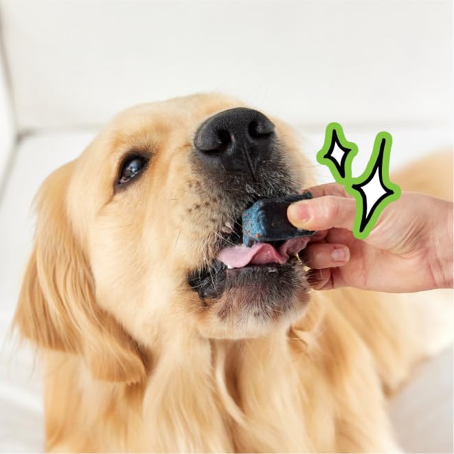 USA-made PupGum badge reinforces clean ingredients and vet-developed formula.