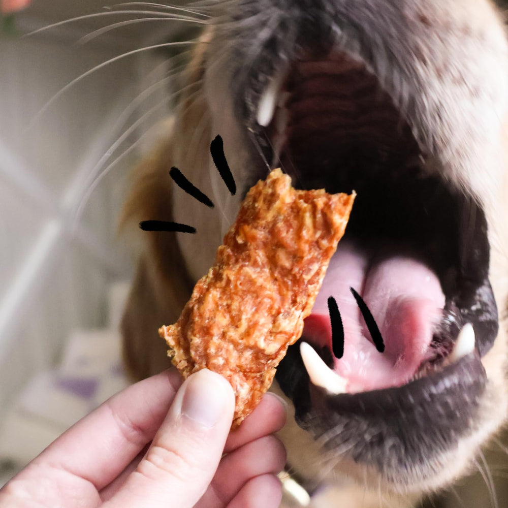 Spot & Tango Turkey Strips made-in-usa label confirms USA-made dog treats.