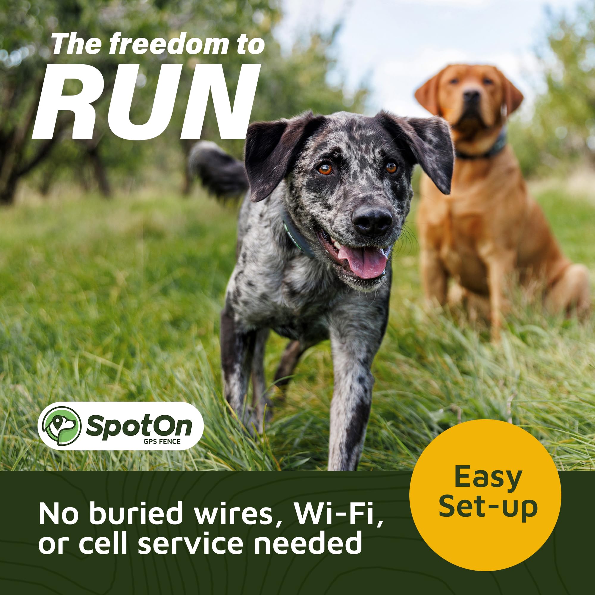 SpotOn app-based fence drawing shows flexible, scalable boundaries for active dogs.