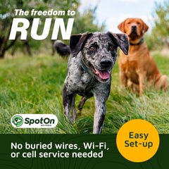 SpotOn app-based fence drawing shows flexible, scalable boundaries for active dogs.
