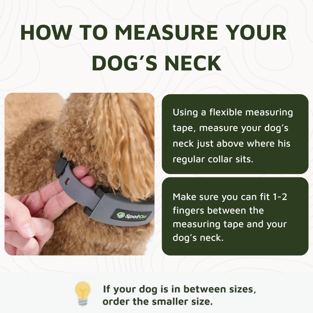 SpotOn tracking with activity maps highlights where your dog spends time.