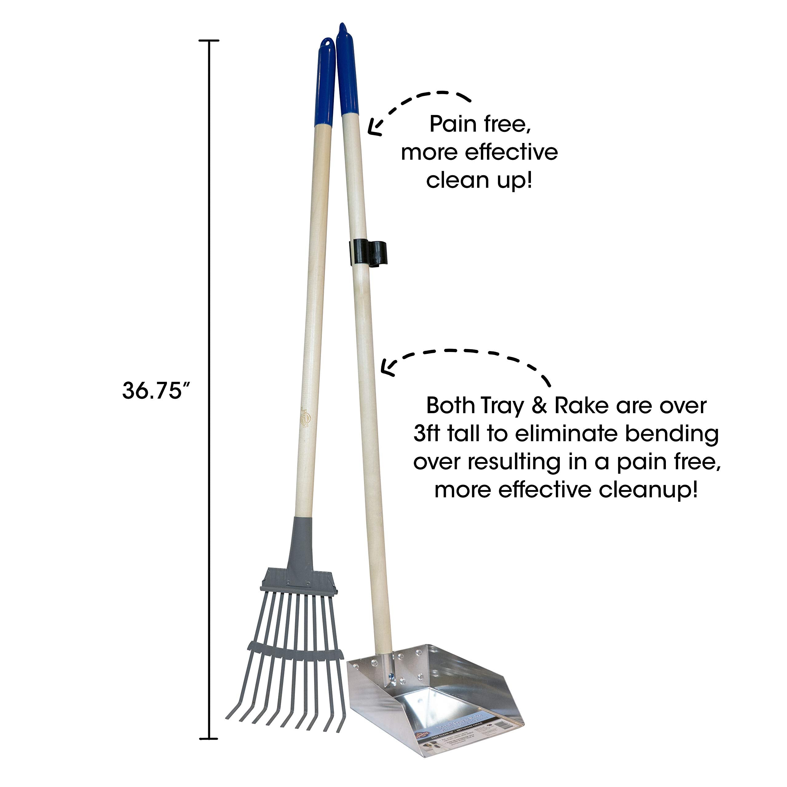 Spotty 36-75 inch long handle reduces bending during cleanup.