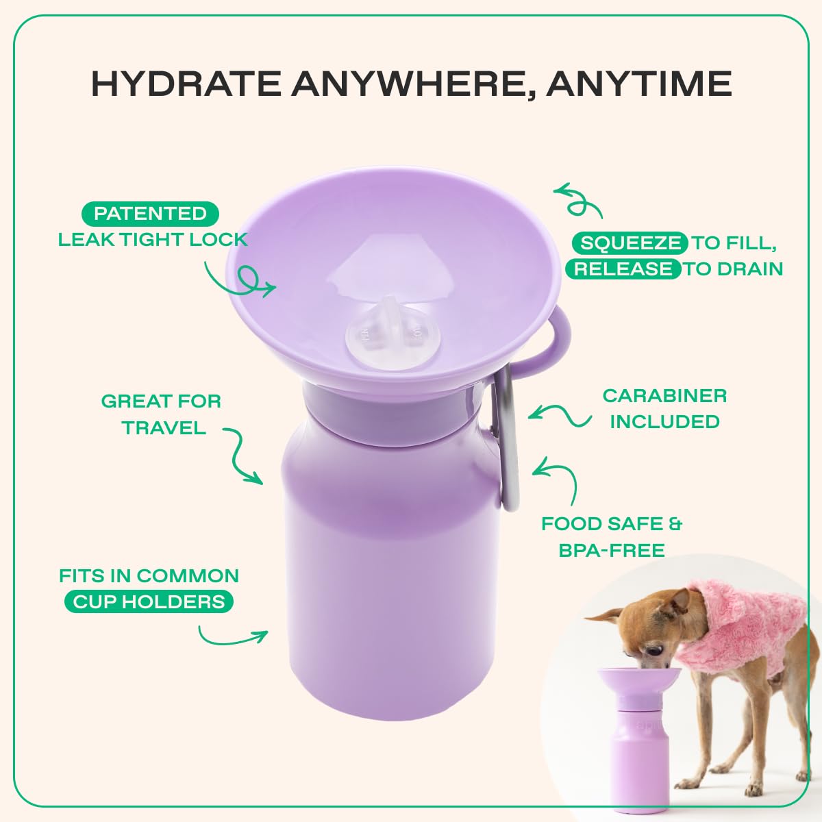 Springer water bowl being filled from a squeeze during a walk.