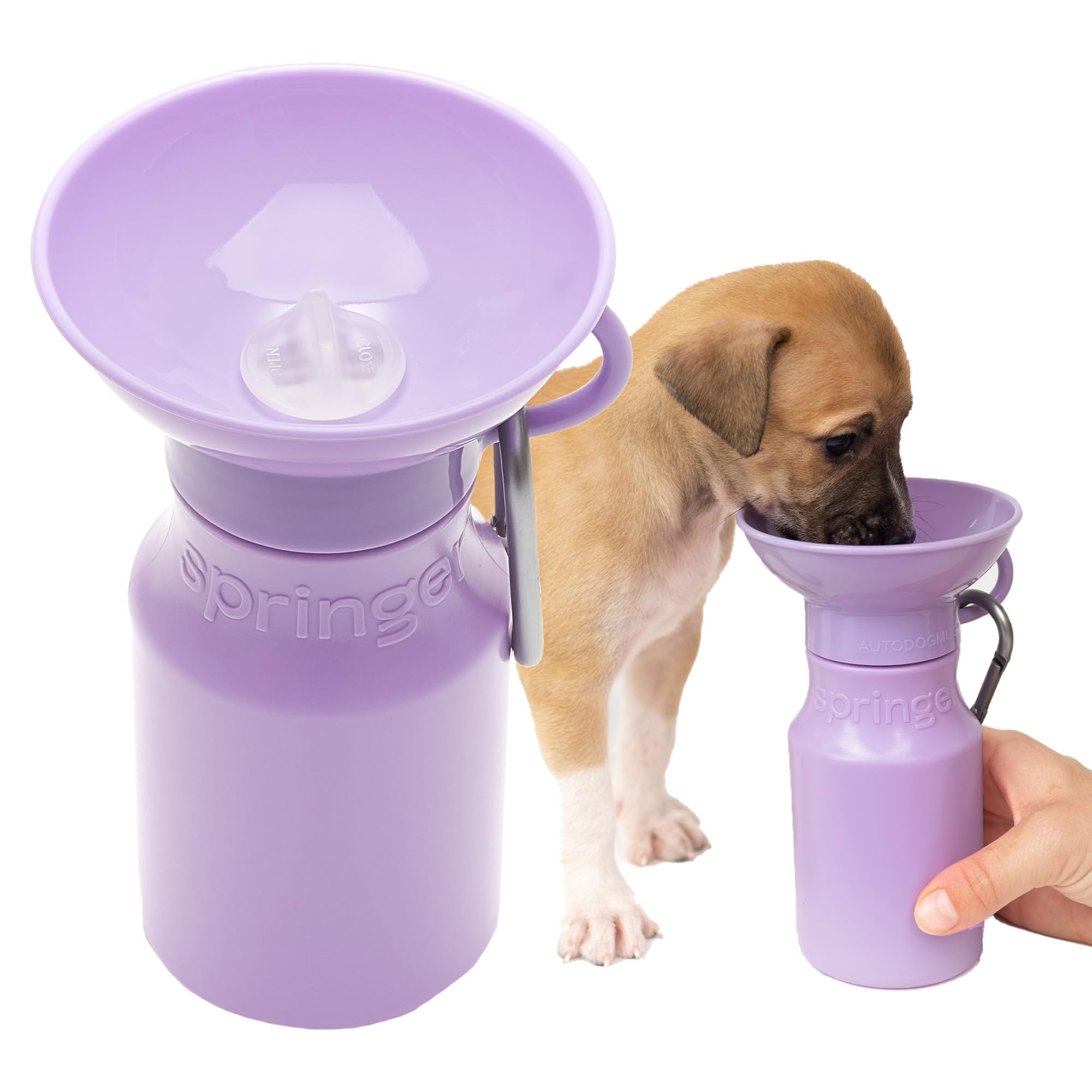Springer dog water bottle cap close-up showing leak-free valve for outdoor use.