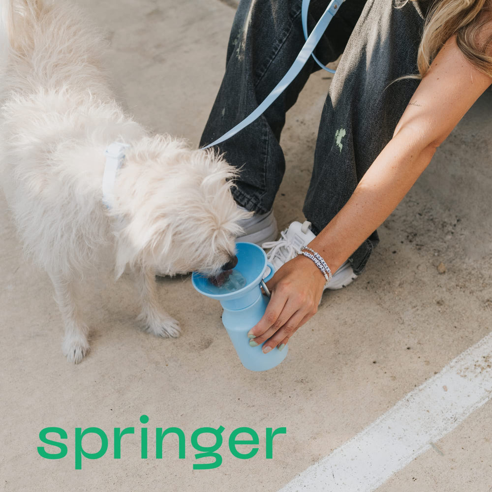 Springer bottle is dishwasher-safe for quick cleanup after outings.