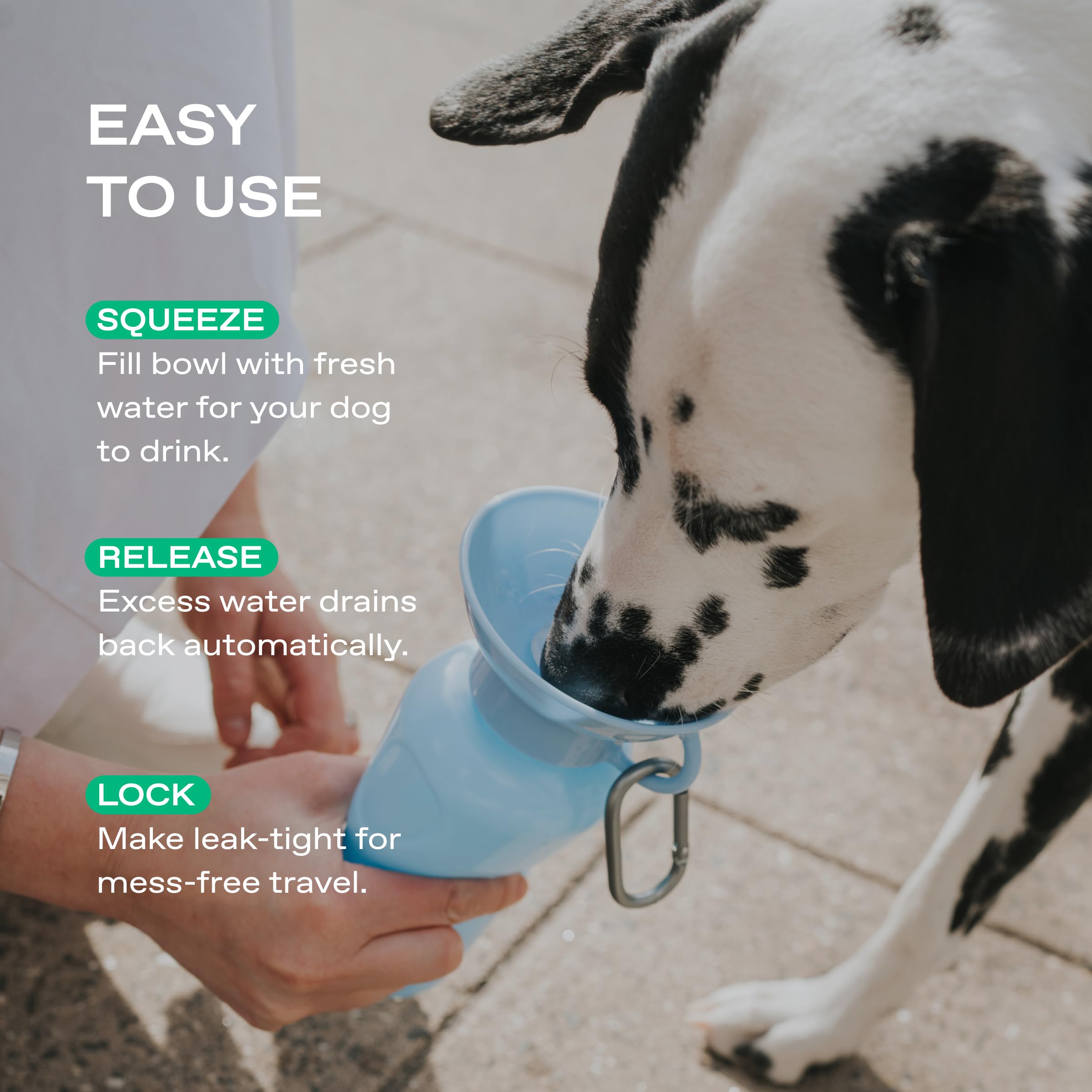 Springer water bottle is dishwasher-safe and BPA-free for simple cleaning.
